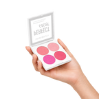 Perfect Color 4-Color Matte Blusher