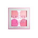 Perfect Color 4-Color Matte Blusher