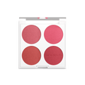 Perfect Color 4-Color Matte Blusher