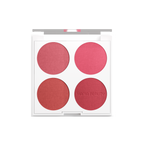 Perfect Color 4-Color Matte Blusher